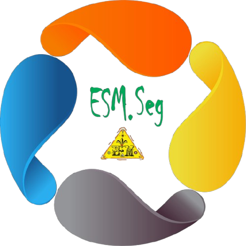 ESM SEG
